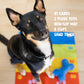 "The Dog's Best Friend" board game with a black and tan shepherd-type dog sitting on the play mat next to a blue plush bone toy