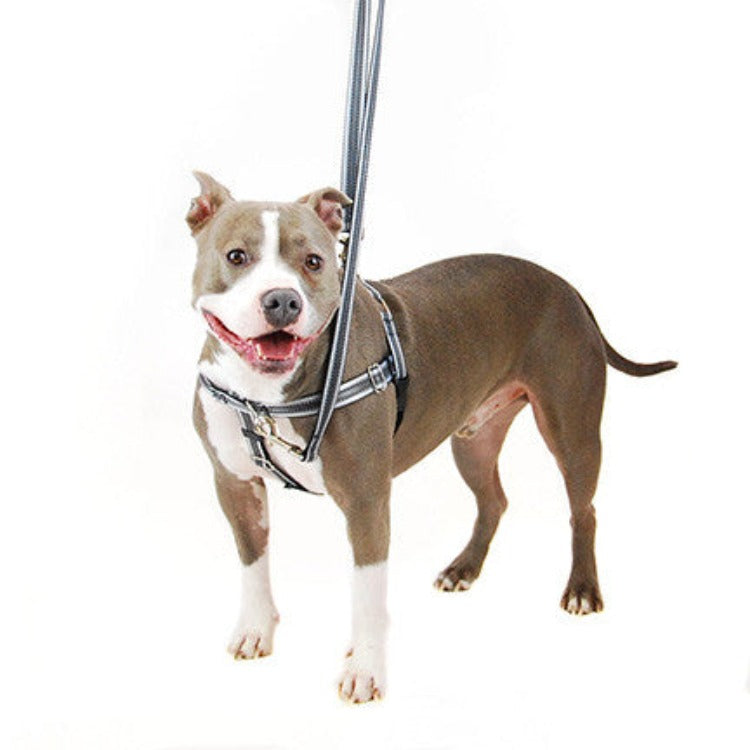 Quick Control Dog Harness Reflective Nylon Dogs Ha... - Vicedeal Quick Control Dog Harness Reflective Nylon Dogs Ha... - Vicedeal