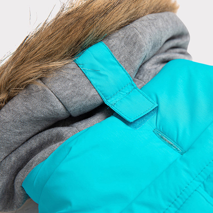 close up of the hood of an aqua and grey winter parka for dogs
