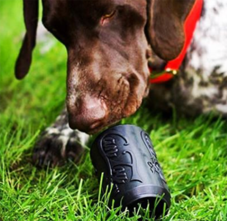 a closeup of a brown and white dog lying in the grass sniffing a black rubber dog toy shaped like a soda can