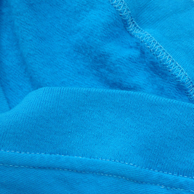 closeup of a blue hoodie for dogs