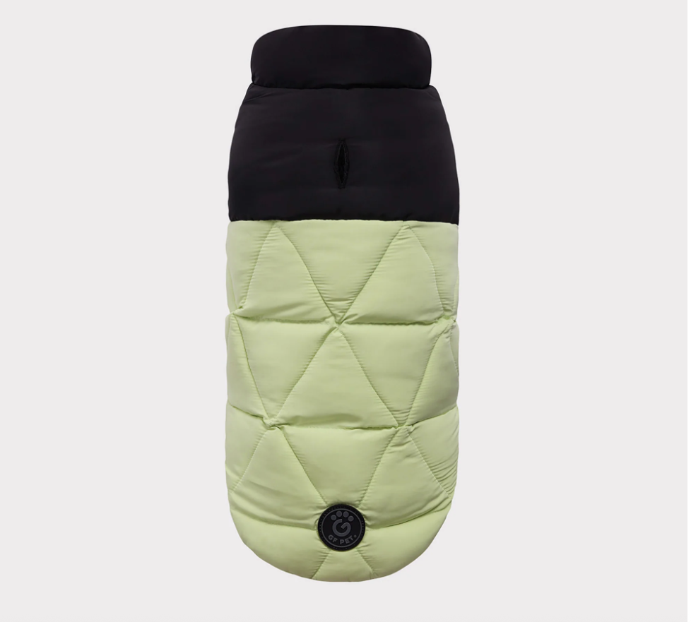 Quilted dog coat with black top and light green bottom on a white background