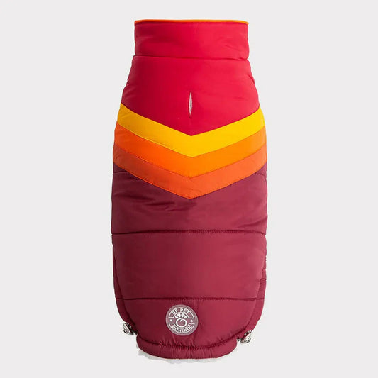 a red dog puffer coat with orange & yellow chevron pattern
