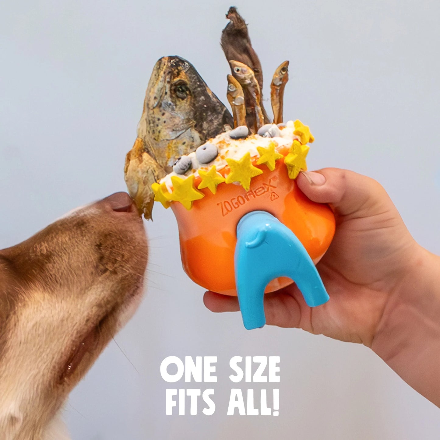 A brown dog noses an orange rubber work-to-eat dog toy filled with various delicious foods and closed with a toy stopper shaped like dog butt and dog face 