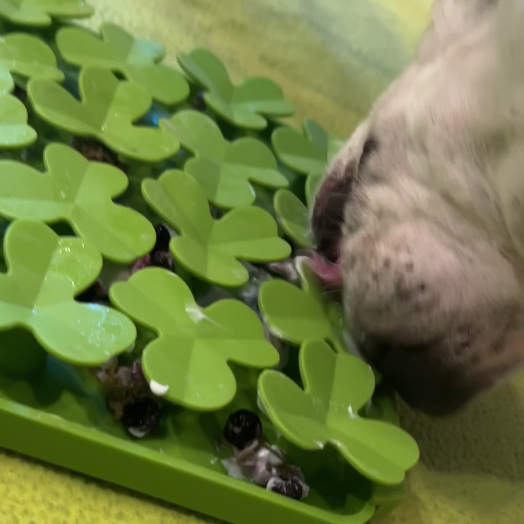 a white pit bull type dog licking blueberries and yogurt from a green clover foraging mat dog toy