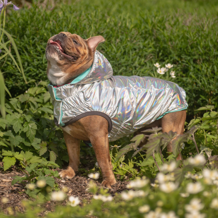 english rain gear Reversible Rain Jacket – Fit for a Pit