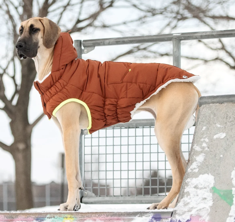 Super Puff Parka - Main Image